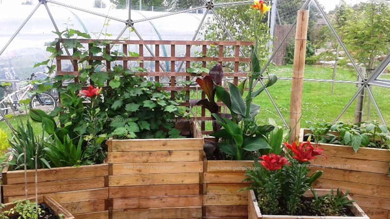 Dome Greenhouse, Growhouse