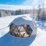 Outdoor Glamping Dome: Why Outdoor Camping Is Trending缩略图